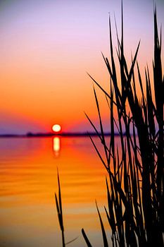 Zonsondergang Veluwemeer 