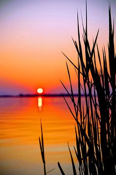 Zonsondergang Veluwemeer  van Aalt Hofman