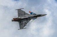 Saab Gripen van de Tsjechische Luchtmacht. van Jaap van den Berg thumbnail