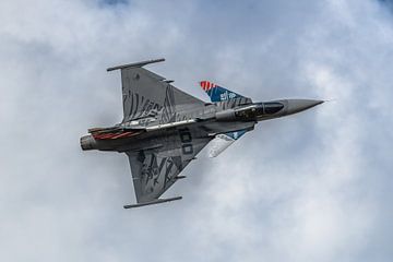 Saab Gripen van de Tsjechische Luchtmacht. van Jaap van den Berg
