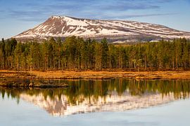 Morgens im Sonfjället