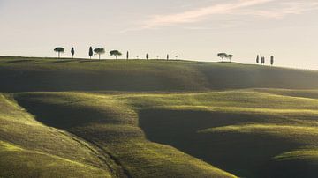 Glooiende heuvels, cipressen en pijnbomen. Toscane, Italië van Stefano Orazzini