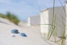 Hinter dem Strandhaus von Leo van Valkenburg