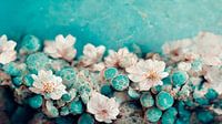 Turquoise Buds