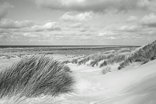 Strand van Terschelling