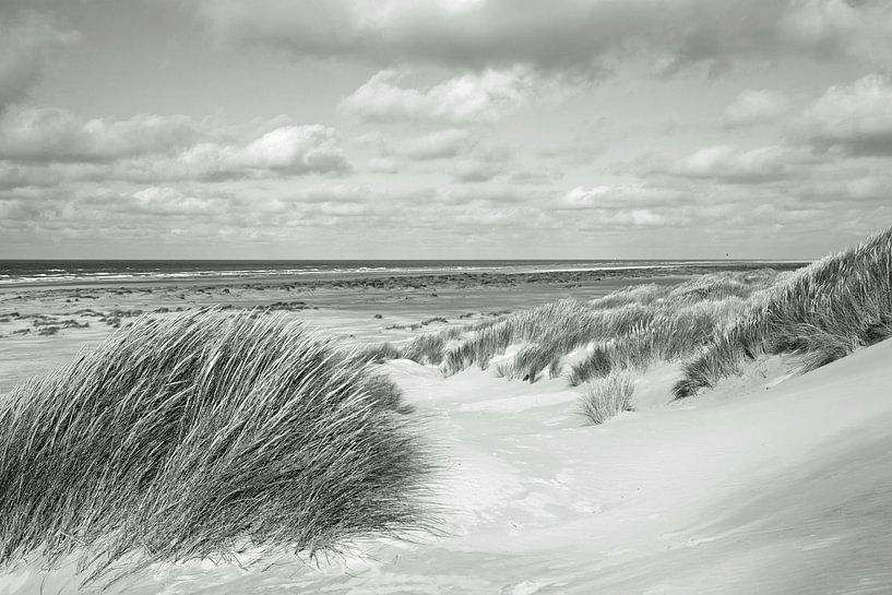 Strand von Terschelling von Helga Kuiper