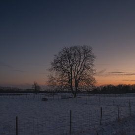 Boechout my country by Dirk Vervoort