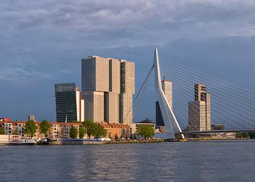 Skyline Rotterdam, de Rotterdam en Erasmusbrug van Nicolette Eekhof