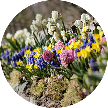 Bloemenperk in de lente van Niels van den Berg