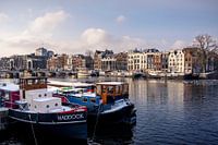 Haddock on the Amstel River
