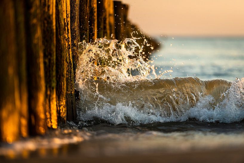 Waves in Zeeland by Damien Franscoise