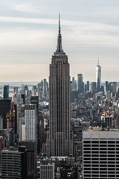 New York City by Hello Pompoyo