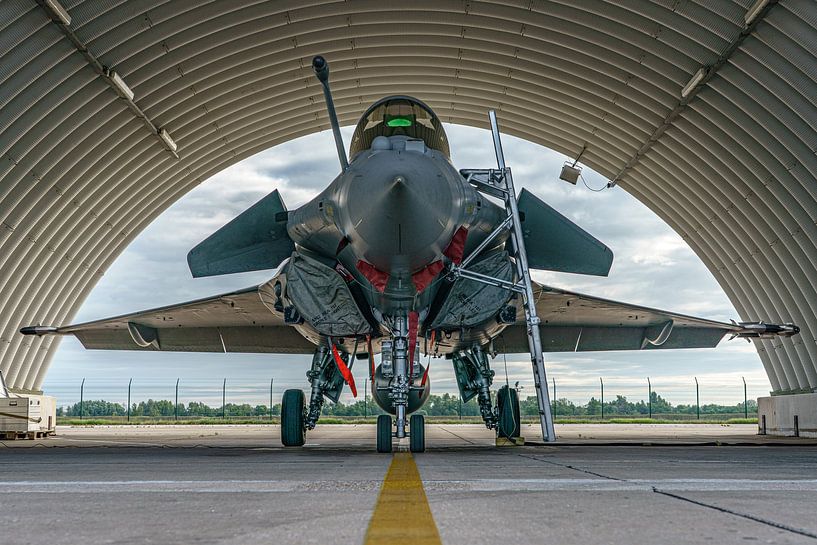 Dassault Rafale im Schutzraum. von Jaap van den Berg