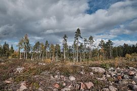 swedenherfst006 by Geertjan Plooijer