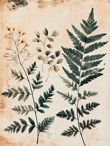 Flora Rustica