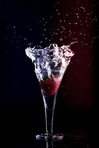 splash sur Danny van houtum