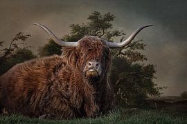 Scottish Highlander by Lisette van Peenen