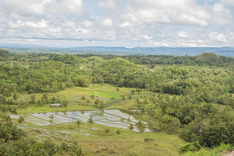 Filipijnen - Chocolate Hills Bohol by Chantal Cornet