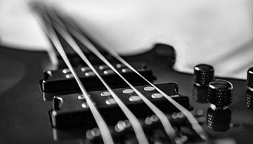 Bass lines in zwart-wit part 2 van Alex Hiemstra