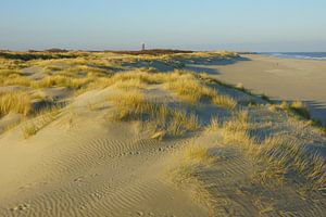 Duinen, strand en zee