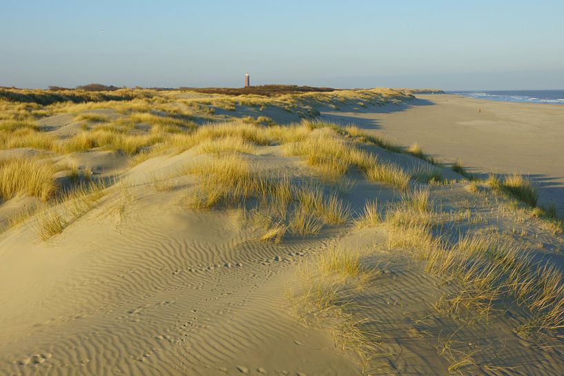 Duinen, strand en zee von Michel van Kooten