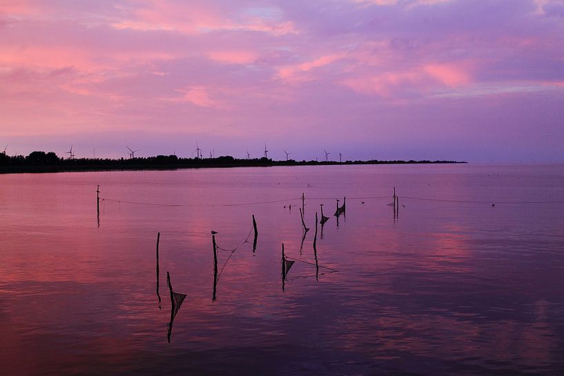 Purple Fishing Nets by Koolpics