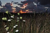 Sonnenuntergang mit Blumen von Henk de Boer Miniaturansicht