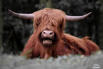 With your mouth open...