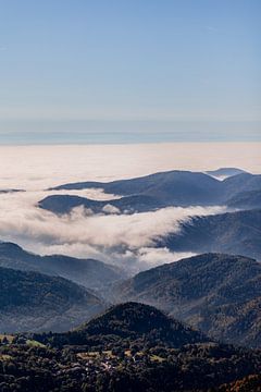 Vogesen in Frankreich