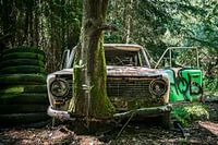 Lost in the wood