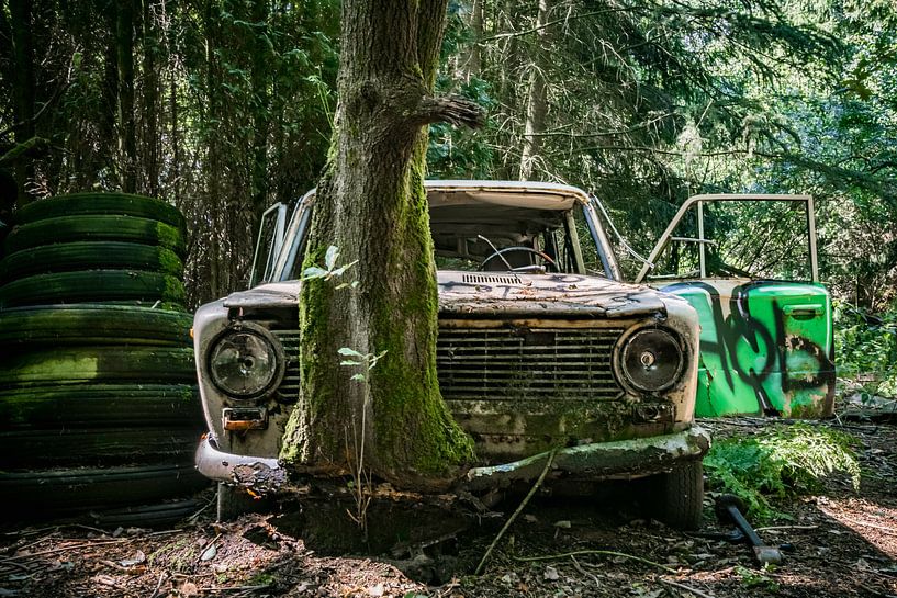 Lost in the wood by Laurent Jack