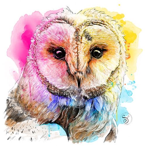Owl