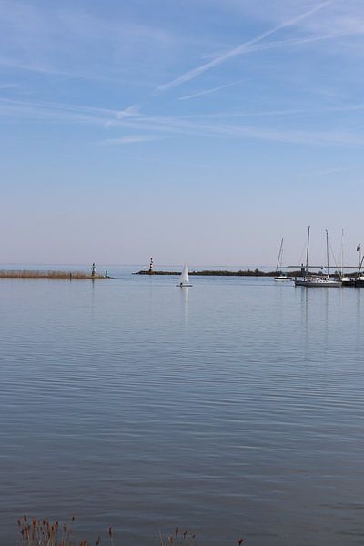 Sailing on the IJsselmeer by Monica de Roo-Peeters
