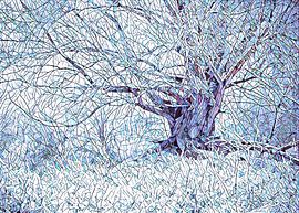 Winterboom Mozaïek van Joop Snijder