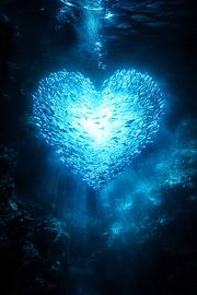 Heart of fish underwater by Imperial Art House