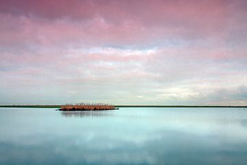 Coucher de soleil à Oostvaardersplassen sur Michiel Leegerstee