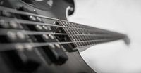 Bass lines in black and white part 1