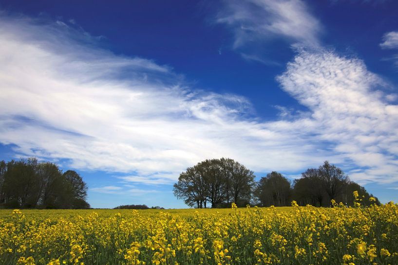 Weite Landschaft von Thomas Jäger
