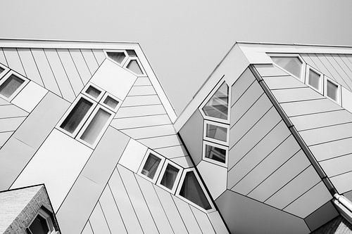 Cube houses of Rotterdam in black and white by Sanne Dost