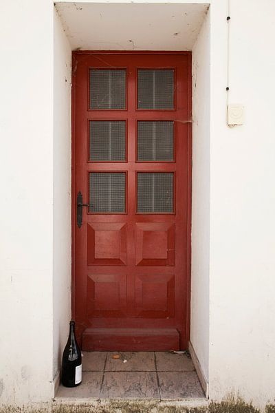 Rode deur, rode wijn van Daan Ruijter