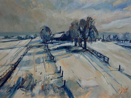 Heuvelland in de sneeuw van Nop Briex