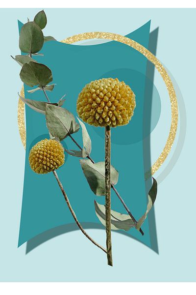 From the center the radiance by christine b-b müller