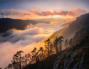 Juratal Berge im Nebel bei Sonnenaufgang