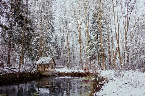 Winter in het huisje bij de vijver