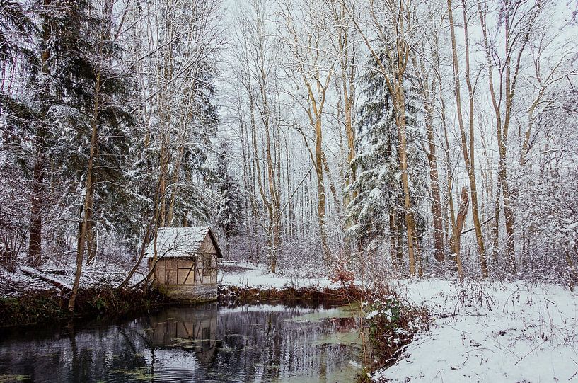 Winter am kleinen Häuschen am Teich von Jürgen Schmittdiel Photography