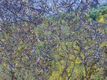Italiaanse lentebloesem Van Gogh-stijl van Dorothy Berry-Lound