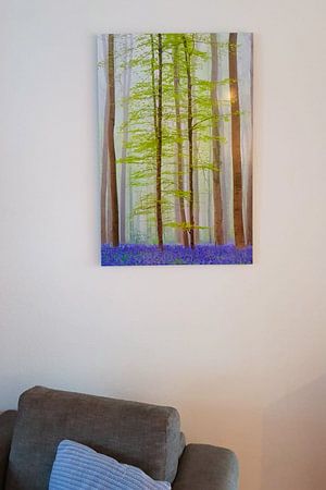 Wild Hyacinths in a forest with young beech trees