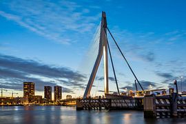 Erasmus Bridge Rotterdam by Mario Brussé Fotografie
