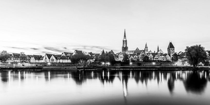 De skyline van Ulm aan de Donau bij nacht - monochroom van Werner Dieterich