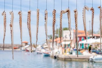 Inktvissen hangen te drogen in Griekse haven van Rob IJsselstein